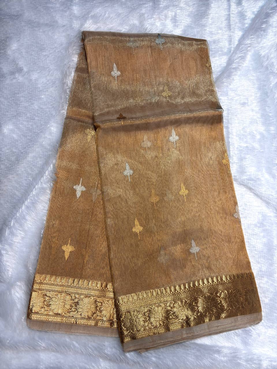 Champagne Gold Kora Tissue Banarasi Silk Saree with Kadhua Leaf Butis